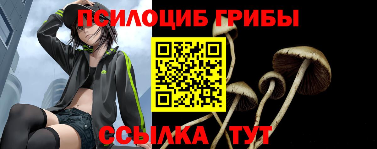 Галлюциногенные грибы GOLDEN TEACHER Наро-Фоминск
